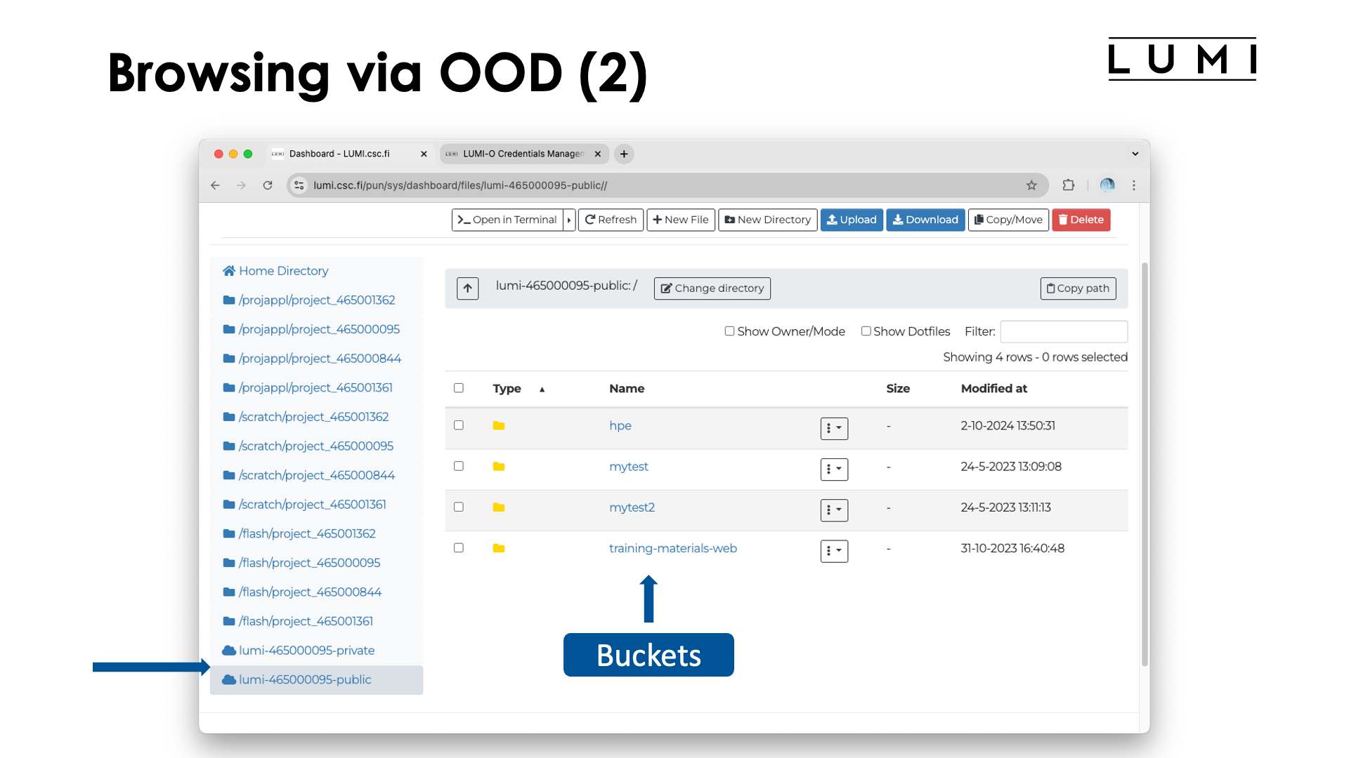 Slide Browsing through Open OnDemand (2)