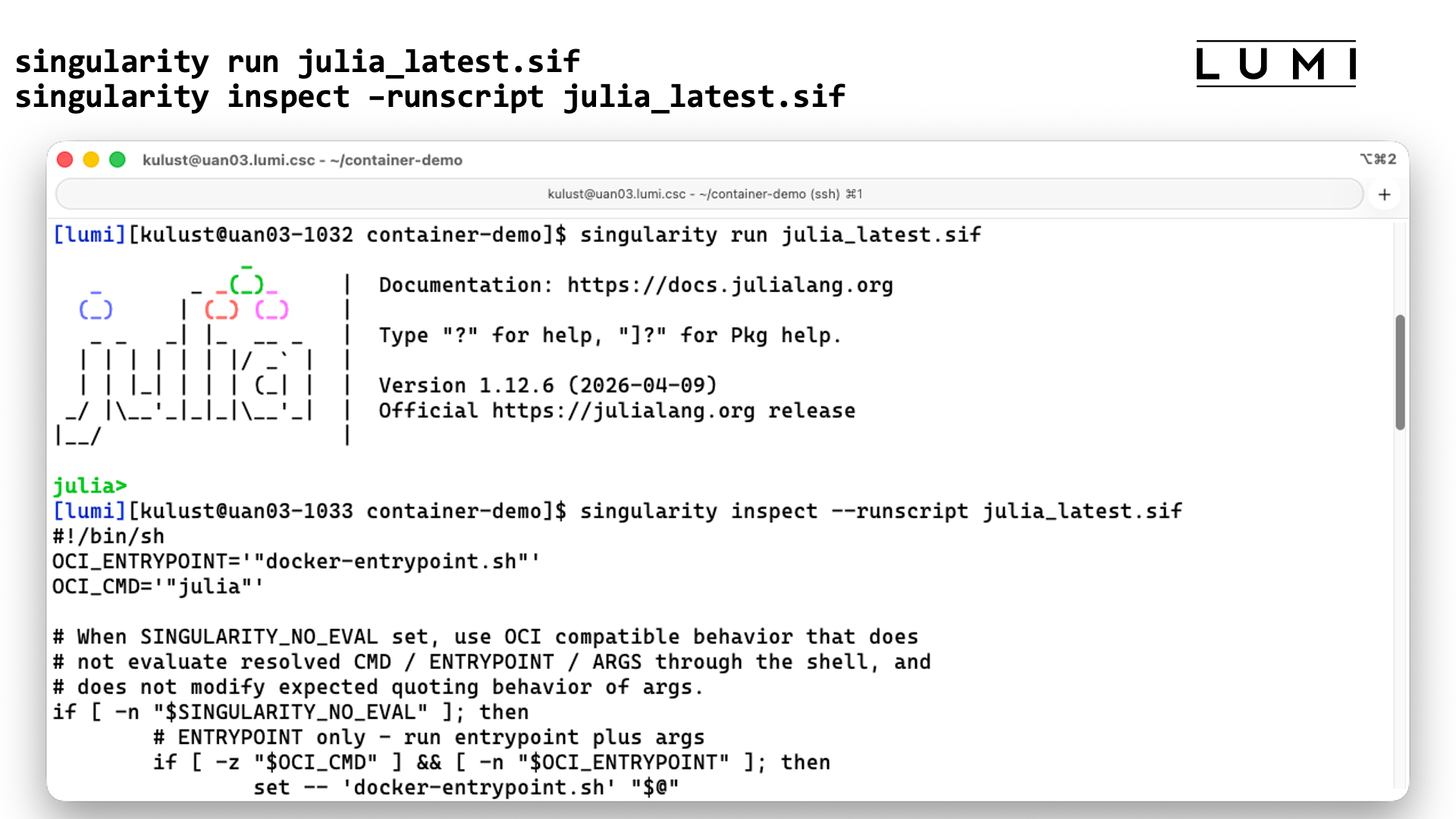 Demo singularity run