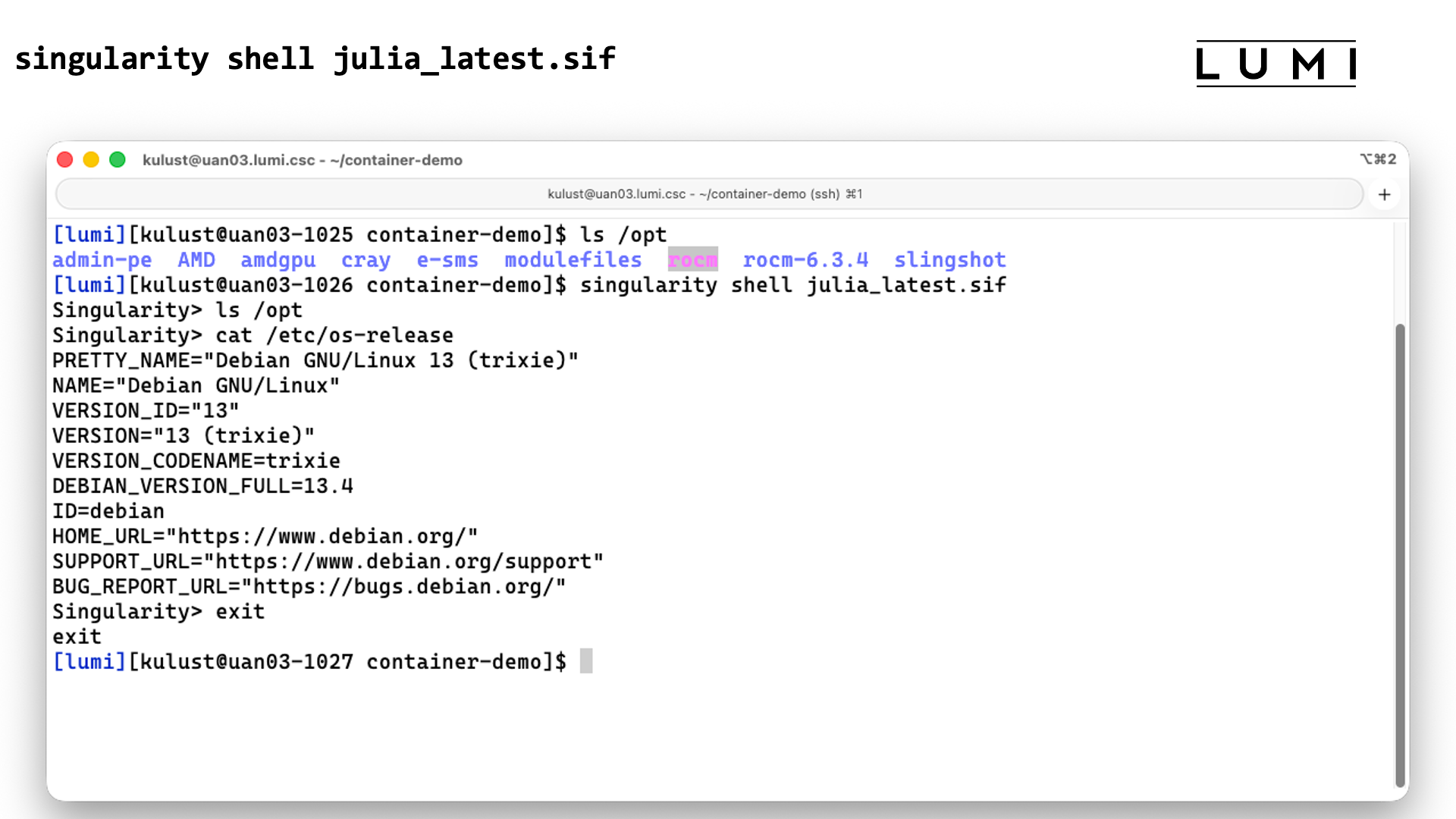 Demo singularity shell
