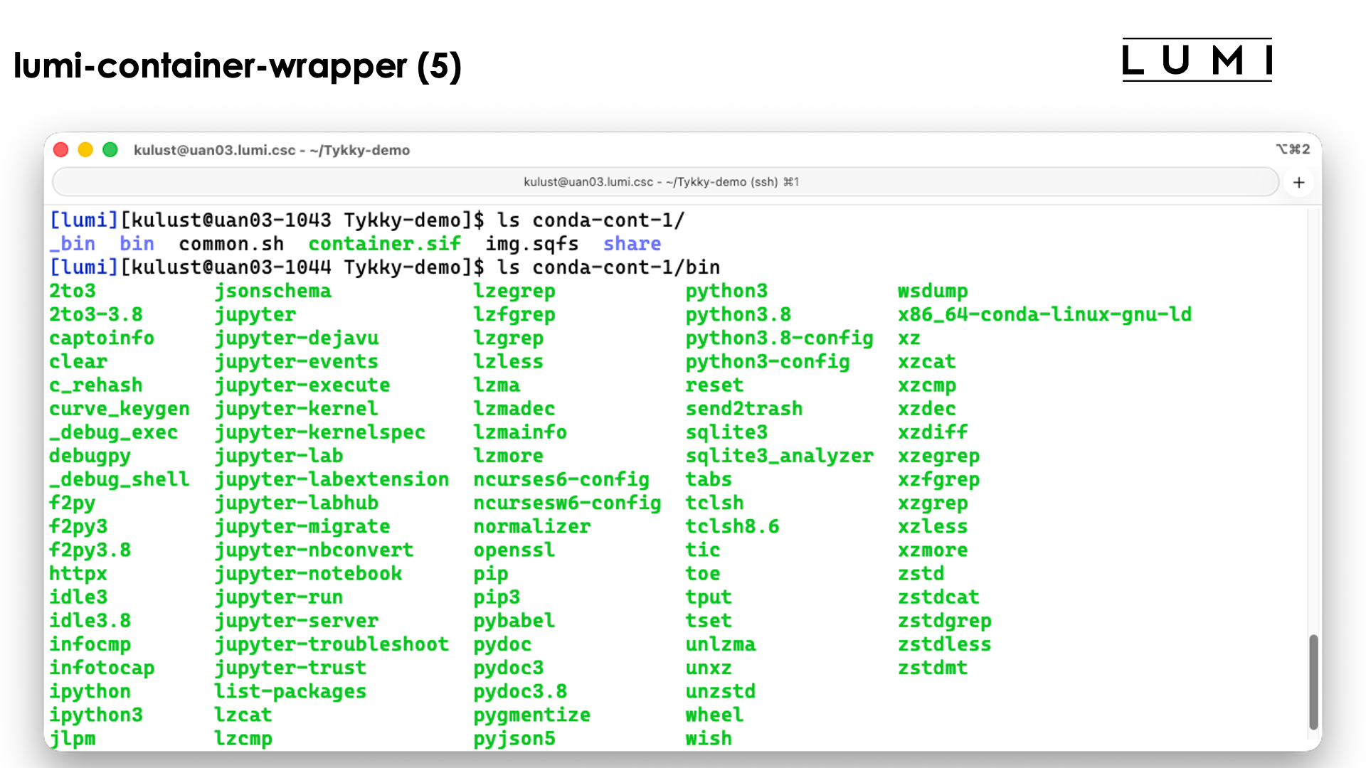 demo lumi-container-wrapper slide 65