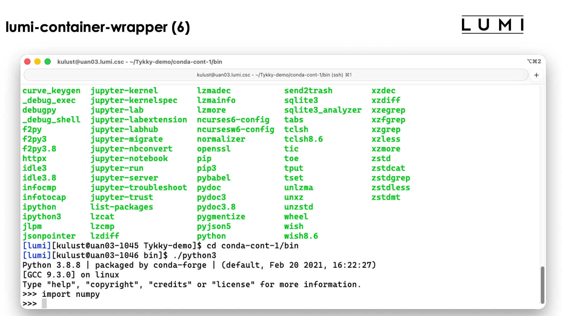 demo lumi-container-wrapper slide 6