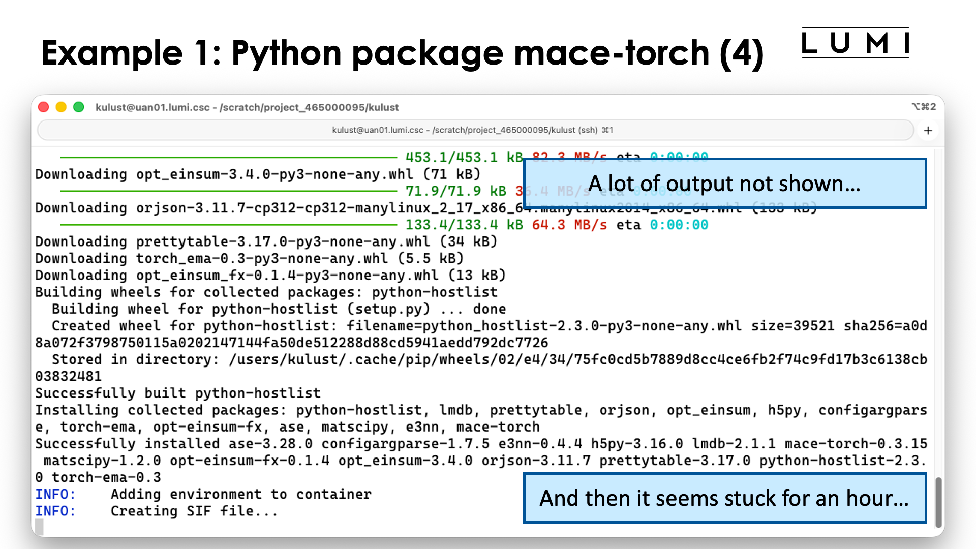 Example 1: Python package mace-torch (4)