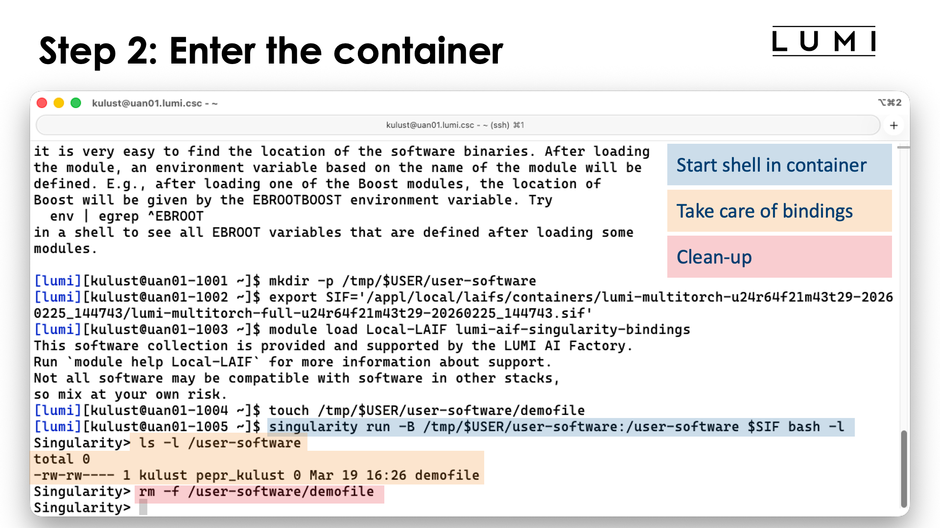 Step 2: Entering the container