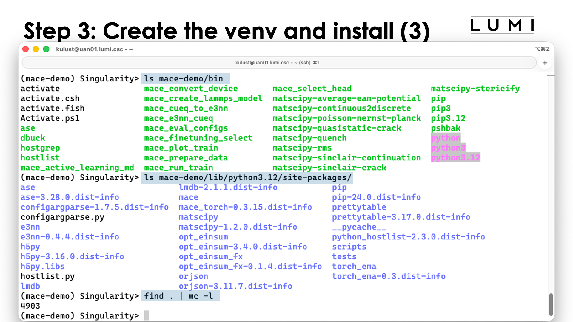 Step 3: Create the virtual directory and install the packages (3)