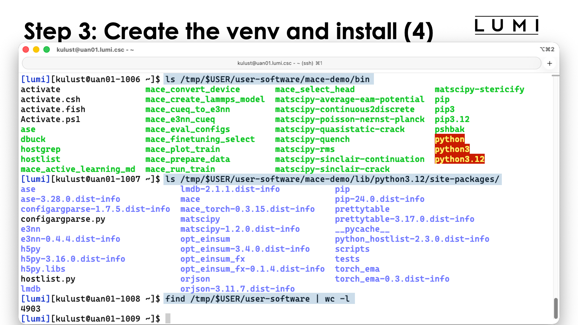 Step 3: Create the virtual directory and install the packages (4)
