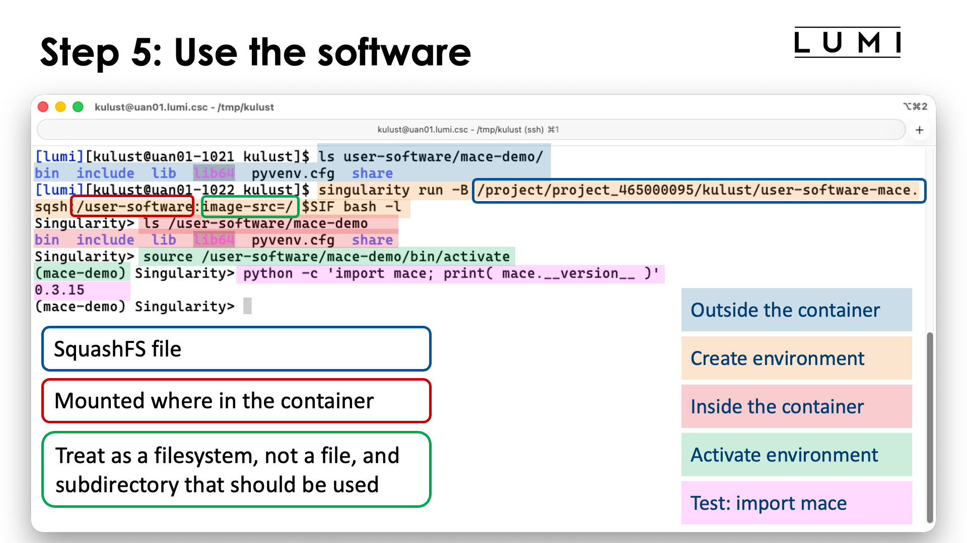 Step 5: Use software in the virtual environment
