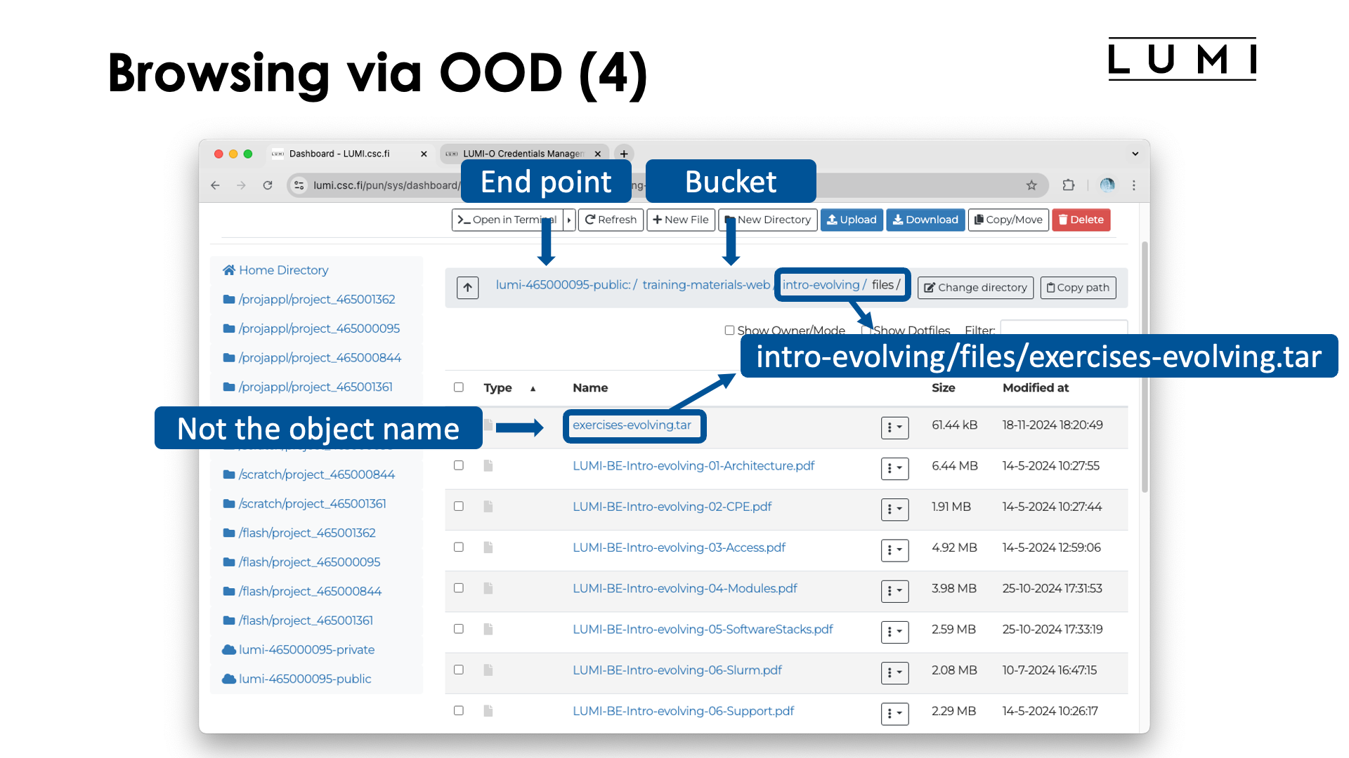 Slide Browsing through Open OnDemand (4)